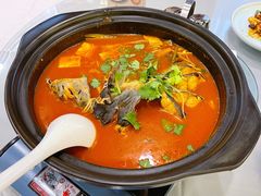 贵州酸汤鱼-贵州大厦贵州厅(樱花园西街店)