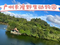 -广州长隆野生动物世界