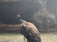 -长鹿旅游休博园
