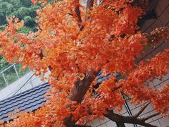 -勐巴拉娜西大剧院