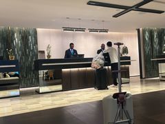 -新加坡乌节希尔顿酒店 (SG Clean)