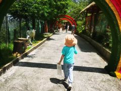 -栾川竹海野生动物园