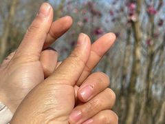 -嘉北郊野公园