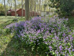 -河南省黄河迎宾馆