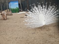 -秦皇岛野生动物园