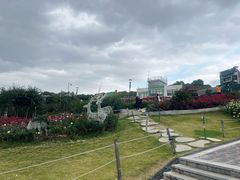 -立新湖公园