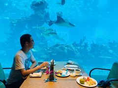 -海棠湾洲际-涛·海底餐厅·美人鱼·自助餐·海底隧道