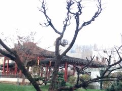 -九献创意菜·牛排馆(亮马河花园店)