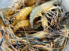 -DGE季风钓虾营地·团建·聚会