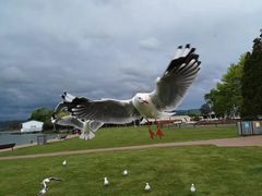 -怀托摩萤火虫洞