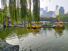 -团结湖公园