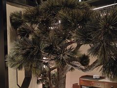 -桂满陇·锦绣江南(益田广场店)
