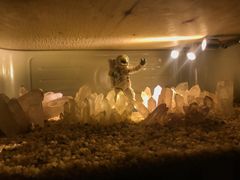 -北京三里屯CHAO酒店