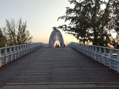 -大兴滨河森林公园