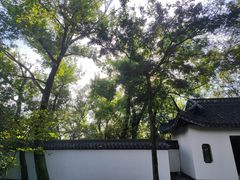 -上海佘山国家森林公园天马山园