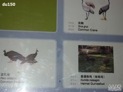 -北京麋鹿生态实验中心