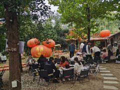 -HERRE·FARM 赫尔露营农场·团建聚会包场