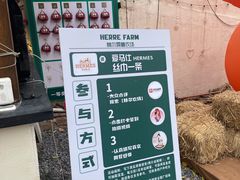 -HERRE·FARM 赫尔露营农场·团建聚会包场