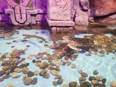 -波塞冬旅游度假区