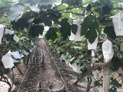 -美家乐农庄·露营·团建(大治路店)