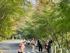 -民国红公馆(老门东店)
