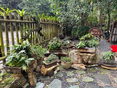 -深圳仙湖植物园