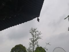 -洋湖国家湿地公园