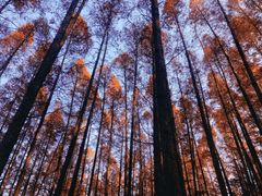 -南京金牛湖风景区