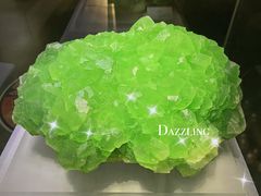 -湖南省地质博物馆