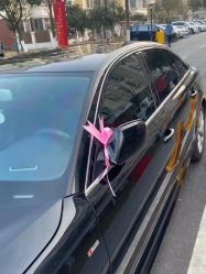-蚂蚁婚车
