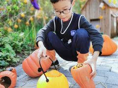 -季高兔窝窝亲子园(上海薰衣草公园店)