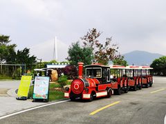 -芒洲湿地公园