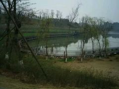 -白鹭湾湿地公园