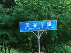 -灵谷景区