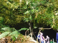 -怀托摩萤火虫洞