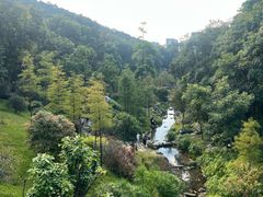 -云溪植物园
