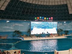 -泉城欧乐堡海洋极地世界