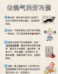 -雅曼妮spa美容养生