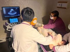 -宠爱国际动物医院·消化内科·心肾内科·ISFM猫友好(望京店)