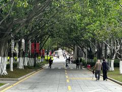 -厦门大学(思明校区)