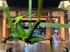 -中华孝德园