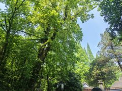 -虞山风景区