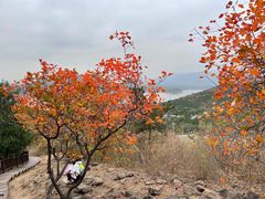 -北京十三陵国家森林公园蟒山景区