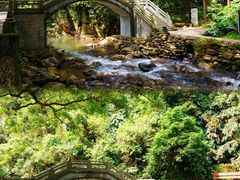 -广州市石门国家森林公园