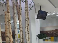 -极简口腔(总院)