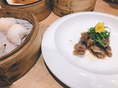 -寻粥岭南(华夏金城店)