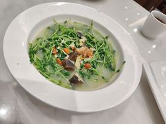 上汤豆苗-佳佳美·囍悦水乡
