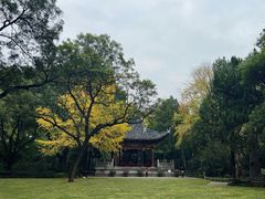 -汇龙潭