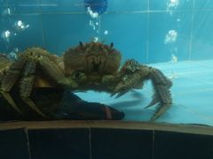 -怡得饭庄·30年老店·宋大妈昆明菜