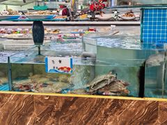 -抹直口特色菜馆(一店)